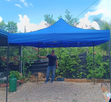 Foto de cliente: Para mi jardín